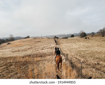 Foxhunting Horses In Virginia Fall Open Field