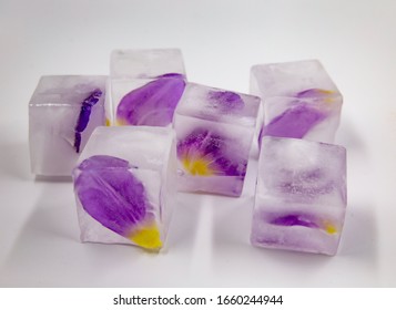 Fozen Petals In Giant Ice Cube