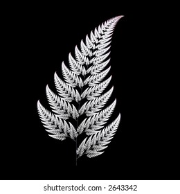 Fractal Design Of A Fern Leaf