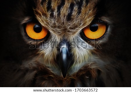 Fractals background owl portrait animal