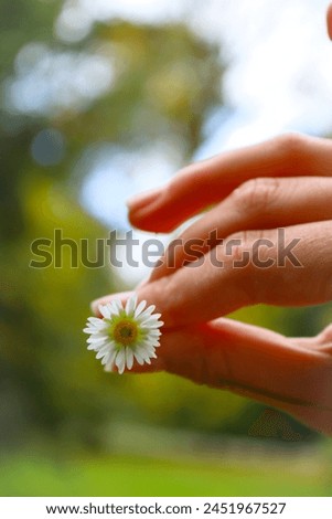 Similar – Image, Stock Photo close contact Animal Daisy