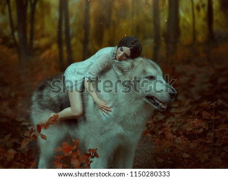 fragile girl riding on huge wolf, like Princess Mononoke. Sleeping Beauty. Alaskan Malamute wild wolf. background is fabulous forest in warm autumn colors,  orange trees, leaves. Fantasy Woman on dog