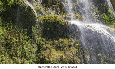 A fragment of a beautiful tropical waterfall. Thin streams of water flow down from the mossy terraces of the cliff, forming a veil. Tumalog Falls. Philippines. Cebu