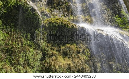 A fragment of a beautiful tropical waterfall. Thin streams of water flow down from the mossy terraces of the cliff, forming a veil. Tumalog Falls. Philippines. Cebu