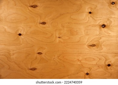 A Fragment Of A Birch Plywood Sheet In Close-up