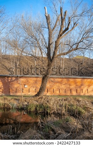 A fragment of the brick defensive walls surrounding the fortifications from the tsarist times, a tree without leaves