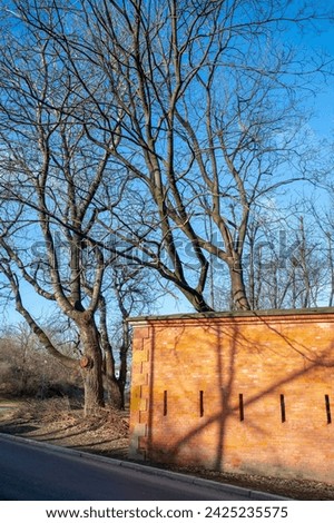 Fragment of a brick wall surrounding a military fortress from tsarist times, shadows of trees on the wall