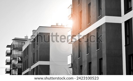 Similar – Image, Stock Photo bare little trees on a roof terrace