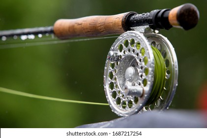 Fragment of a fishing rod with dew drops on a green background - Powered by Shutterstock