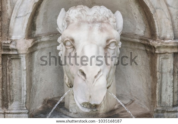 fragment-fountain-camels-head-600w-10351