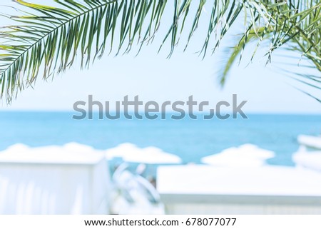 Fragment A green palm branch against the background of the sea and sky. In the background, beach umbrellas are unfocused. Selected focus. Background in style Vacation and travel Horizontal