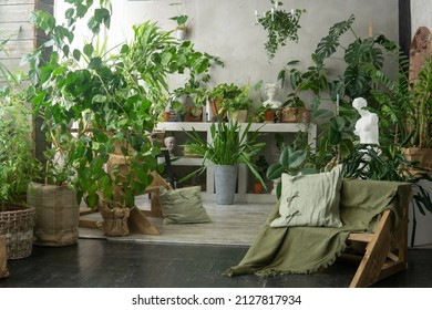 A fragment of the interior with a variety of indoor plants and plaster sculptures. Urban jungle concept. Biophilia design. - Powered by Shutterstock