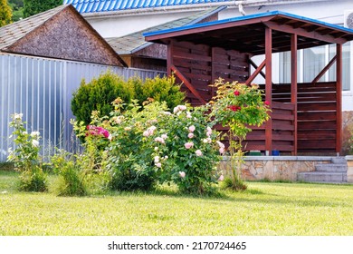 A fragment of the landscape design of a cut green lawn with bushes of climbing roses and dense juicy grass against the background of a wooden gazebo in the courtyard of the house.