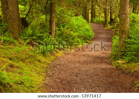 Fragment of Lower Falls trail in Golden Ears park, Vancouver, Canada.