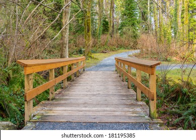 Fragment Of Malcolm Lowry Trail Trail In Cates Park, Vancouver, Canada