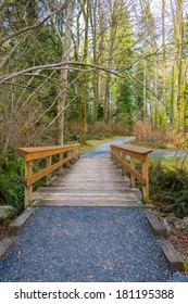 Fragment Of Malcolm Lowry Trail Trail In Cates Park, Vancouver, Canada