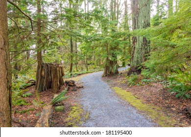 Fragment Of Malcolm Lowry Trail Trail In Cates Park, Vancouver, Canada