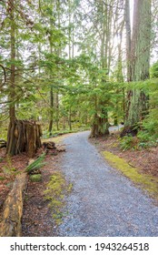 Fragment Of Malcolm Lowry Trail Trail In Cates Park, Vancouver, Canada