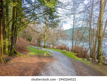 Fragment Of Malcolm Lowry Trail Trail In Cates Park, Vancouver, Canada