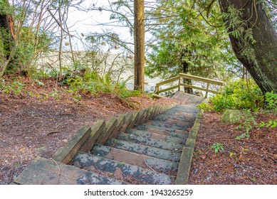 Fragment Of Malcolm Lowry Trail Trail In Cates Park, Vancouver, Canada