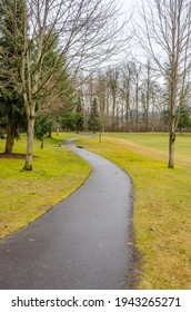 Fragment Of Malcolm Lowry Trail Trail In Cates Park, Vancouver, Canada