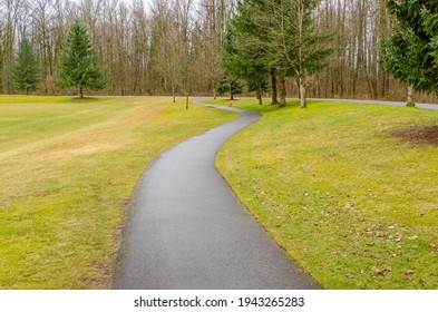 Fragment Of Malcolm Lowry Trail Trail In Cates Park, Vancouver, Canada