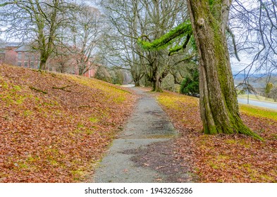 Fragment Of Malcolm Lowry Trail Trail In Cates Park, Vancouver, Canada