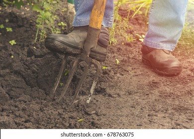 52,921 Shoes garden Images, Stock Photos & Vectors | Shutterstock