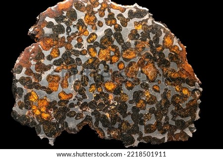 a fragment of meteorite pallasite white olivine