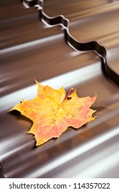 Fragment Of A New Metal Roof, Focus On A Leaf