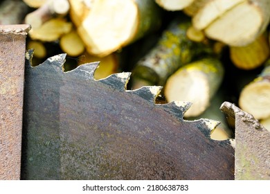 A fragment of a old circular steel saw blade with large teeth and sawn firewood in a blurred background