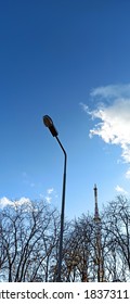 A Fragment Of A Part Of City Park With Autumn Trees, Different Plants,a Street Lamp, Blue Sky  With White Clouds And Television Tower On It.