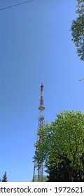 A Fragment Of A Part Of City Park With Spring Trees, The Blue Sky And A Television Tower.
