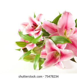 a fragment of pink  lilies ' bunch on a white background - Shutterstock ID 75478234