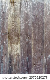 Fragment of a plank shield, with screws and nails, the paint is peeling, close-up, we can see the wood fibers and saw marks, remnants of paint