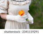 Fragment of retro beige cotton dress with puffed sleeve and ruffles, white gloves decorated with Broderie anglaise pattern. The lady hold tender rembrandt yellow and red tulip flower. Vintage fashion.