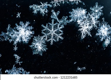 Fragment Of Snow Texture Snowflakes Close-up. Crystal Clear Ice. Macro Photo. Winter. Shallow Depth Of Field. Christmas Background For Layout. Christmas Theme.