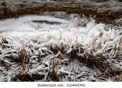 fragment of soil with icy yellow grass. High quality photo