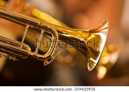 Fragment trumpet closeup 