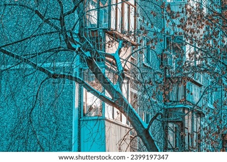 Similar – Foto Bild Novembersonne Baum Haus