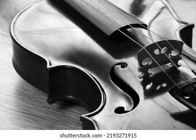 black and white violin pictures