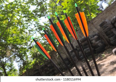 Arrowa Images, Stock Photos & Vectors | Shutterstock