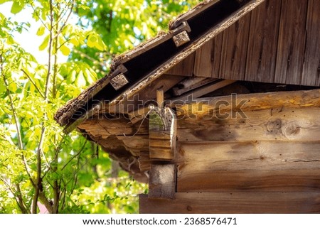 Fragments of a rural old wooden cottage in full sun