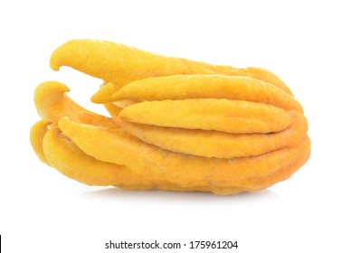 fragrant Buddha's hand or fingered citron fruit isolate on white 