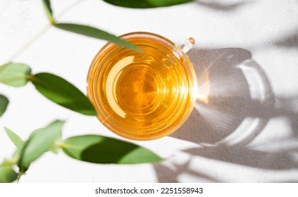 Fragrant herbal tea in a glass cup on a white background with eucalyptus branches and a hard shade. The concept of a healthy drink for breakfast. Top view and space for text. - Shutterstock ID 2251558943