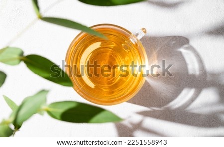 Fragrant herbal tea in a glass cup on a white background with eucalyptus branches and a hard shade. The concept of a healthy drink for breakfast. Top view and space for text.