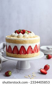 Fraisier cake - French strawberry cake made from layers of genoise, mousseline cream and  strawberries. White cake stand and grey background.