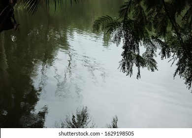 Fram Landcsapes Nature, Water And Leaf Framing