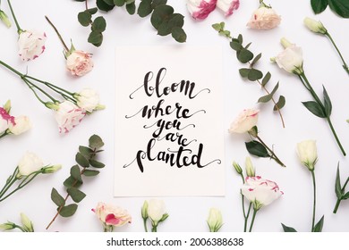 26,373 Bloom calligraphy Images, Stock Photos & Vectors | Shutterstock