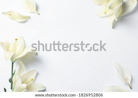 Frame of beautiful lily flowers on white background, flat lay. Space for text